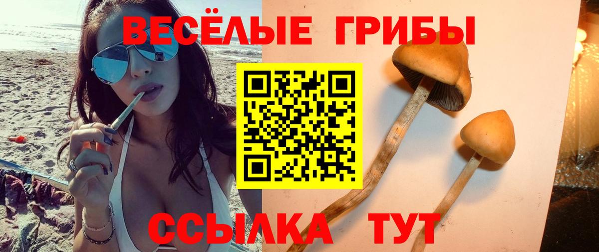 Галлюциногенные грибы GOLDEN TEACHER  Вход с VPN  Рассказово 